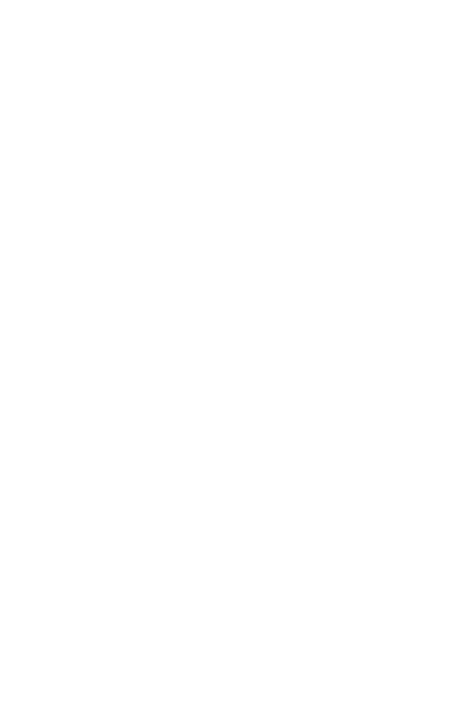 装飾：地図