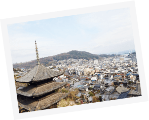 写真：街を見をろしています。天寧寺や家、海と山が写っています。