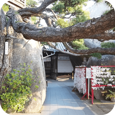 写真：神社に大きな木とおみくじがあります。